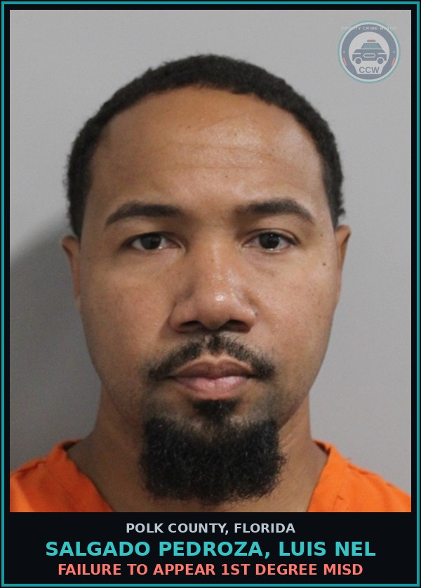 Booking mugshot of SALGADO PEDROZA, LUIS NEL in Polk County