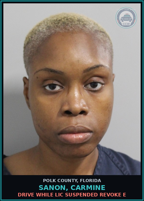Booking mugshot of SANON, CARMINE in Polk County
