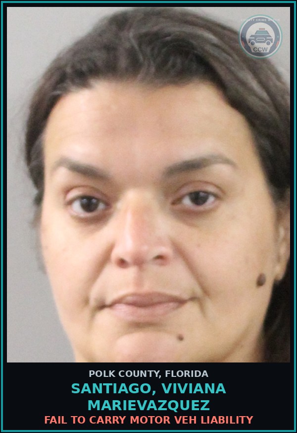 Booking mugshot of SANTIAGO, VIVIANA MARIEVAZQUEZ in Polk County