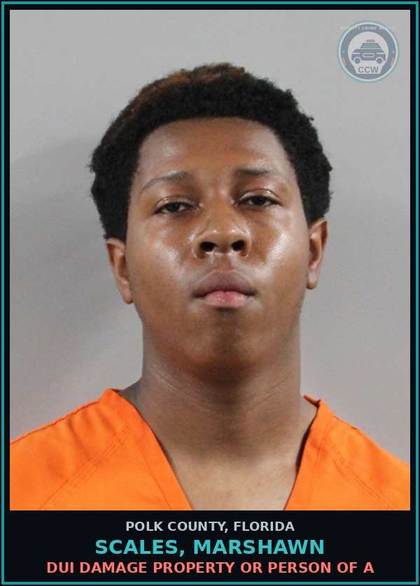 Booking mugshot of SCALES, MARSHAWN in Polk County