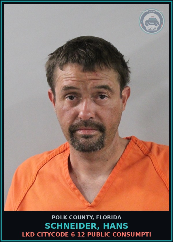Booking mugshot of SCHNEIDER, HANS in Polk County