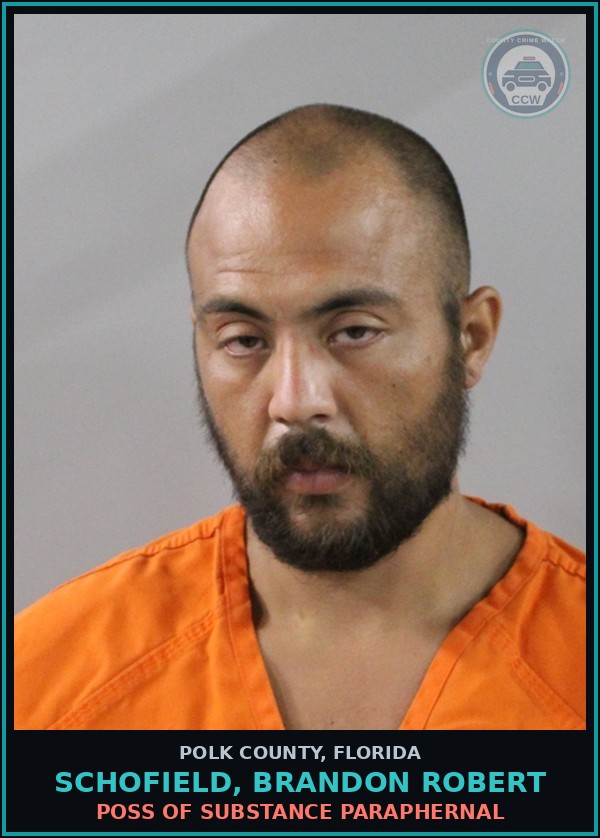 Booking mugshot of SCHOFIELD, BRANDON ROBERT in Polk County