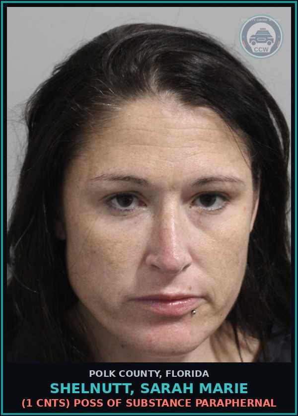 Booking mugshot of SHELNUTT, SARAH MARIE in Polk County