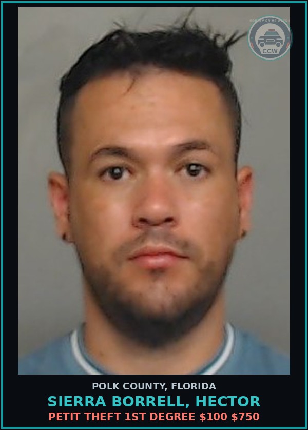 Booking mugshot of SIERRA BORRELL, HECTOR in Polk County