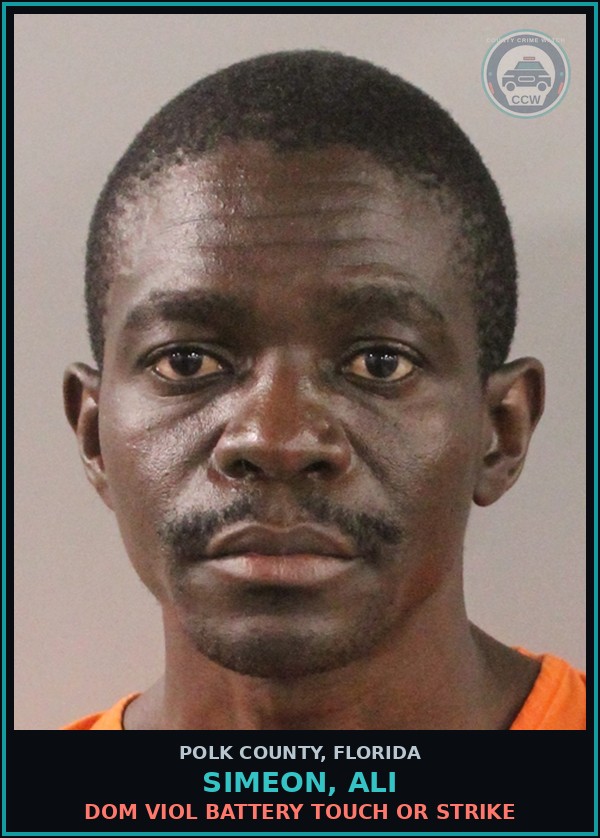 Booking mugshot of SIMEON, ALI in Polk County