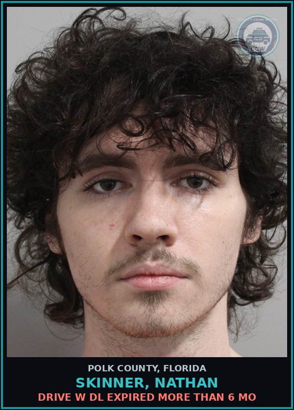 Booking mugshot of SKINNER, NATHAN in Polk County