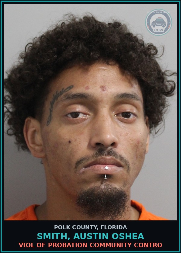 Booking mugshot of SMITH, AUSTIN OSHEA in Polk County