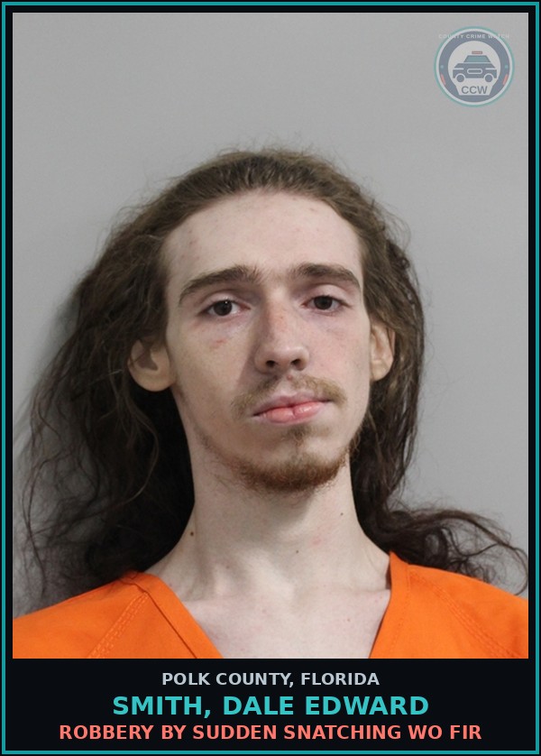 Booking mugshot of SMITH, DALE EDWARD in Polk County