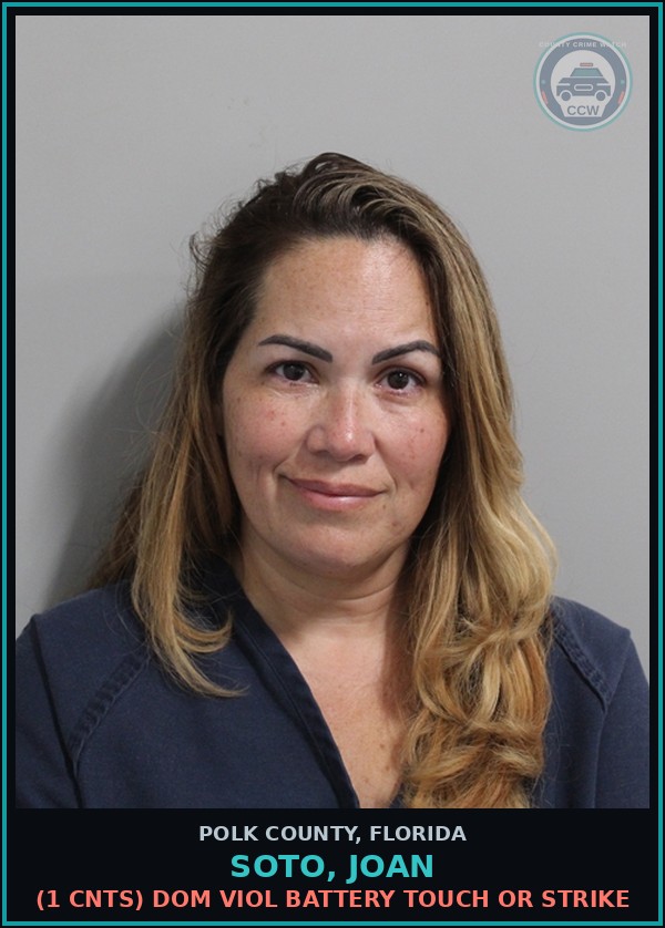 Booking mugshot of SOTO, JOAN in Polk County