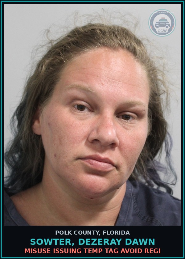 Booking mugshot of SOWTER, DEZERAY DAWN in Polk County