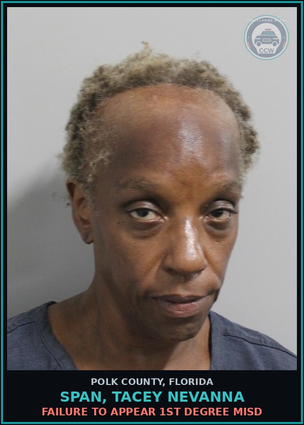Booking mugshot of SPAN, TACEY NEVANNA in Polk County