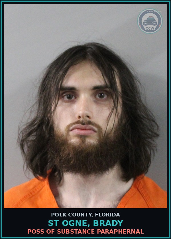 Booking mugshot of ST OGNE, BRADY in Polk County