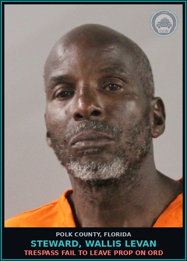 Booking mugshot of STEWARD, WALLIS LEVAN in Polk County