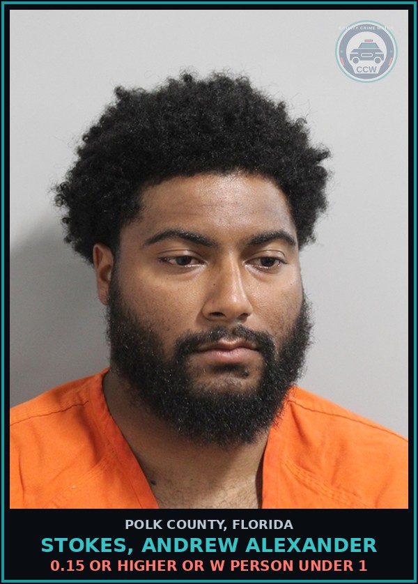Booking mugshot of STOKES, ANDREW ALEXANDER in Polk County