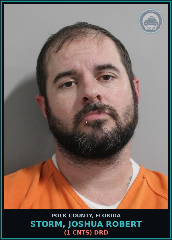 Booking mugshot of STORM, JOSHUA ROBERT in Polk County
