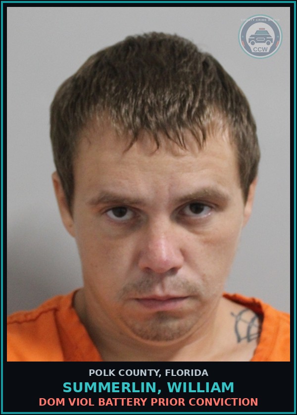 Booking mugshot of SUMMERLIN, WILLIAM in Polk County