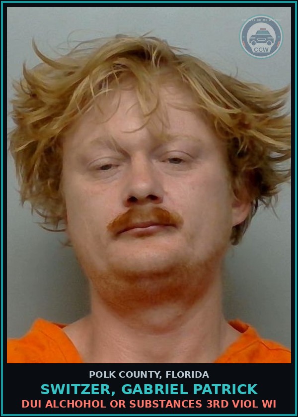 Booking mugshot of SWITZER, GABRIEL PATRICK in Polk County