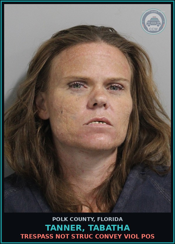 Booking mugshot of TANNER, TABATHA in Polk County