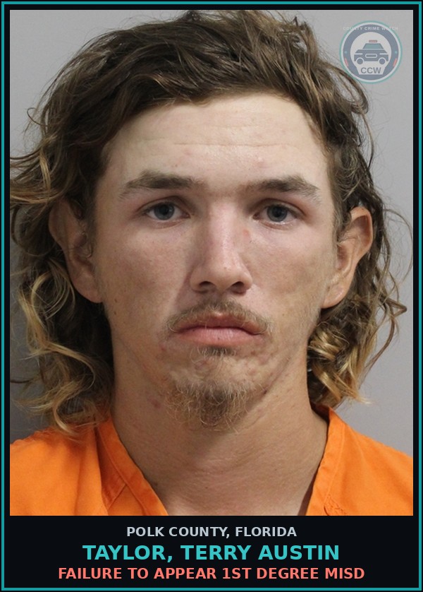 Booking mugshot of TAYLOR, TERRY AUSTIN in Polk County