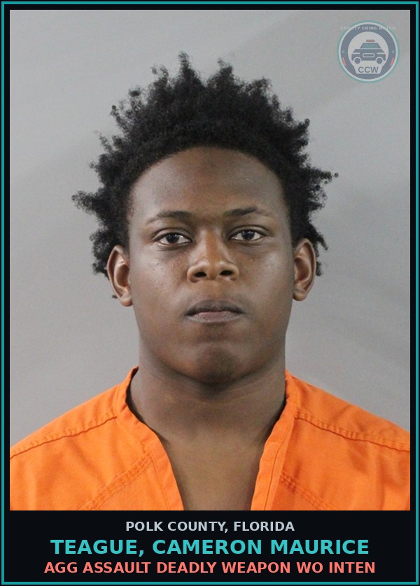 Booking mugshot of TEAGUE, CAMERON MAURICE in Polk County