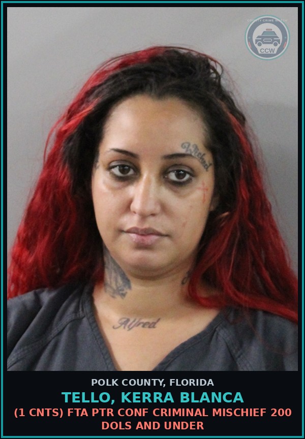 Booking mugshot of TELLO, KERRA BLANCA in Polk County