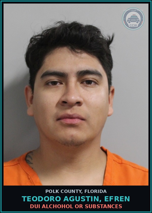 Booking mugshot of TEODORO AGUSTIN, EFREN in Polk County