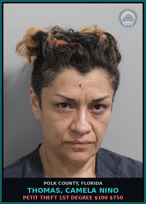 Booking mugshot of THOMAS, CAMELA NINO in Polk County