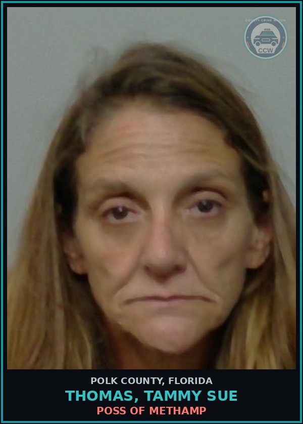 Booking mugshot of THOMAS, TAMMY SUE in Polk County