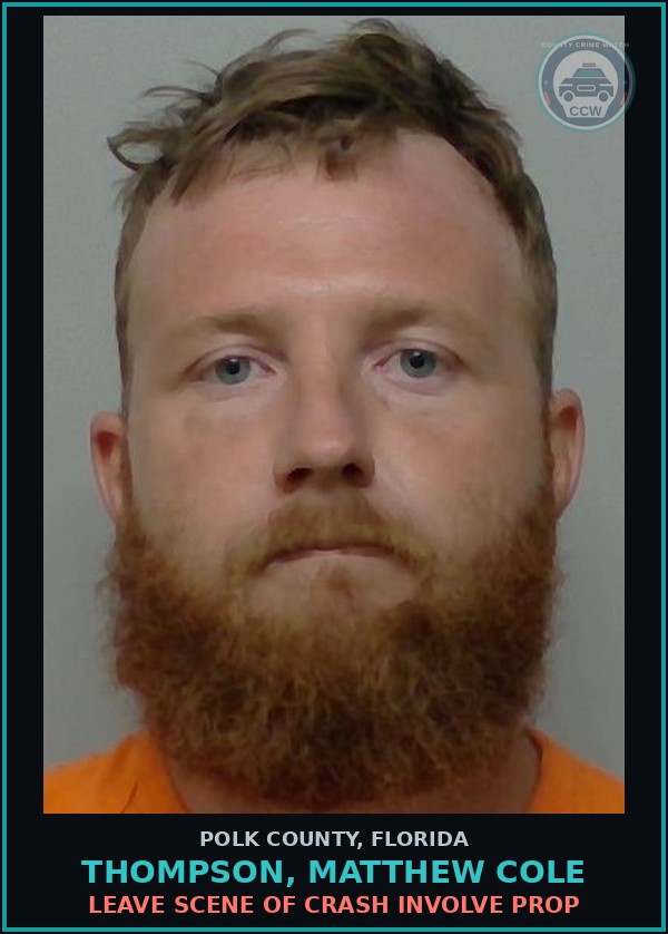 Booking mugshot of THOMPSON, MATTHEW COLE in Polk County
