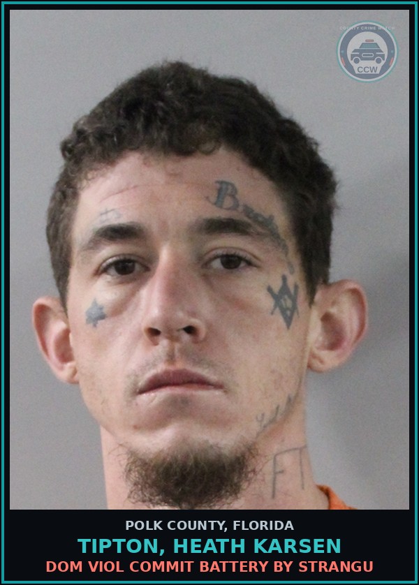 Booking mugshot of TIPTON, HEATH KARSEN in Polk County