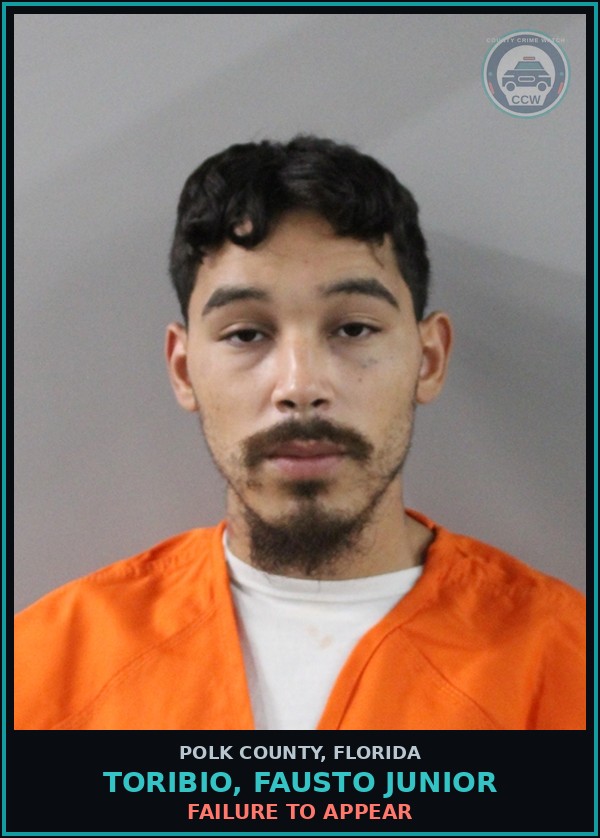 Booking mugshot of TORIBIO, FAUSTO JUNIOR in Polk County