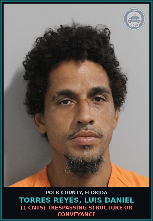 Booking mugshot of TORRES REYES, LUIS DANIEL in Polk County