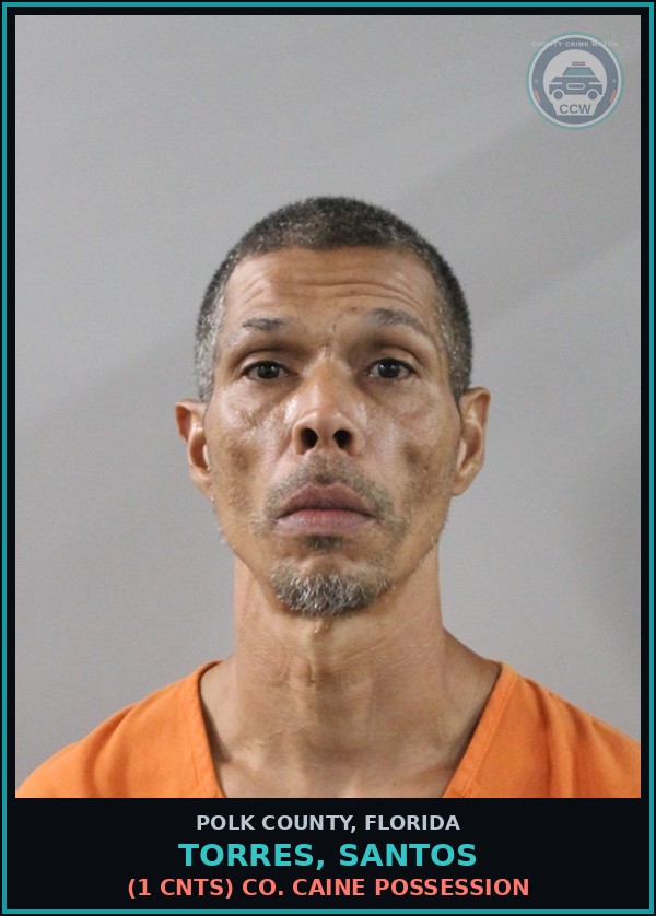 Booking mugshot of TORRES, SANTOS in Polk County