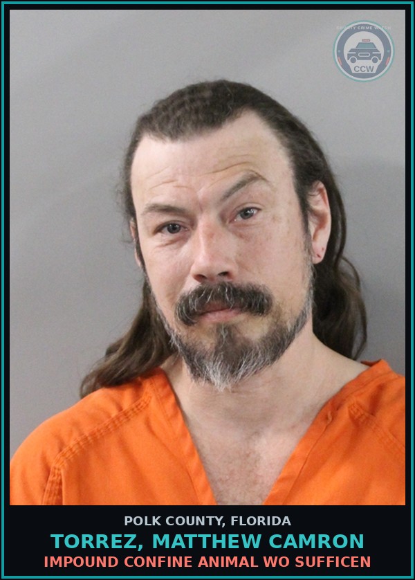 Booking mugshot of TORREZ, MATTHEW CAMRON in Polk County