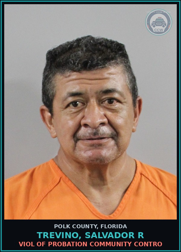 Booking mugshot of TREVINO, SALVADOR R in Polk County