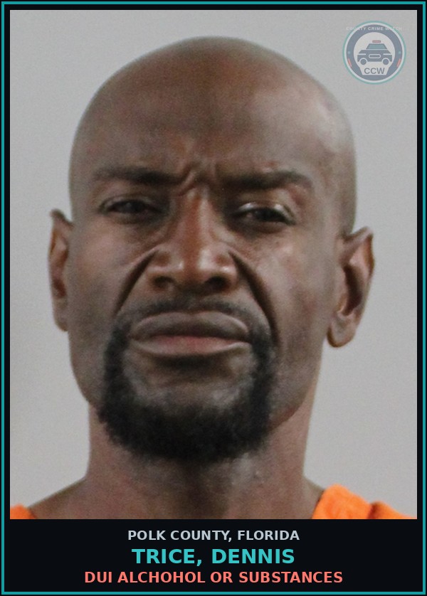 Booking mugshot of TRICE, DENNIS in Polk County