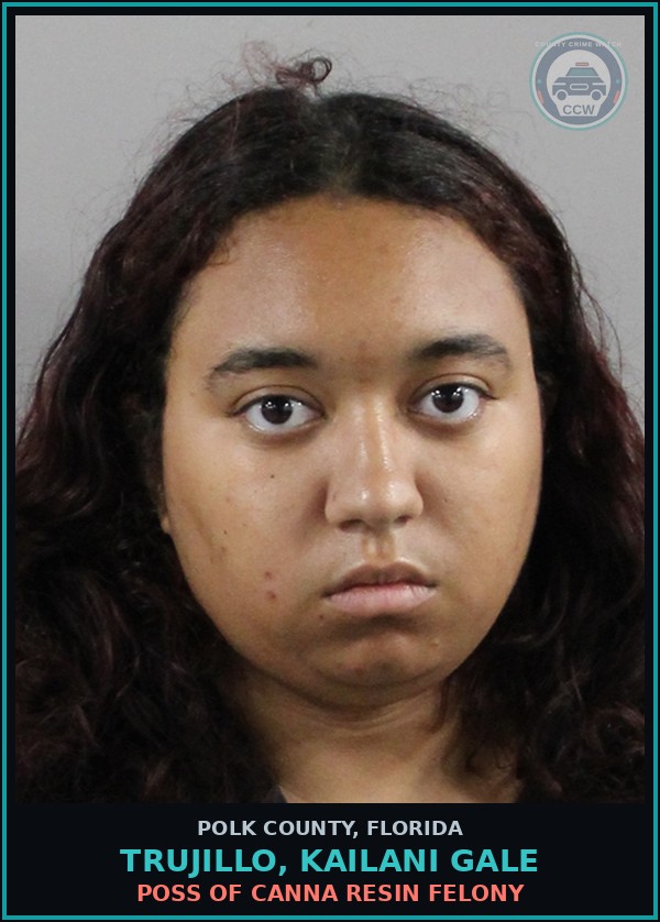 Booking mugshot of TRUJILLO, KAILANI GALE in Polk County