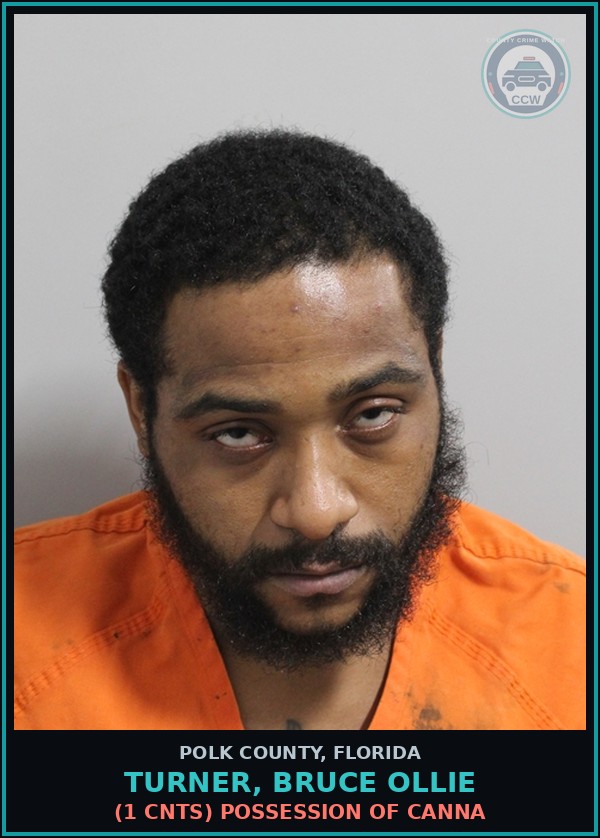 Booking mugshot of TURNER, BRUCE OLLIE in Polk County