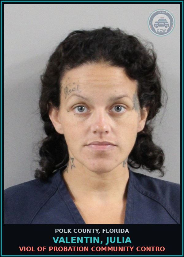 Booking mugshot of VALENTIN, JULIA in Polk County