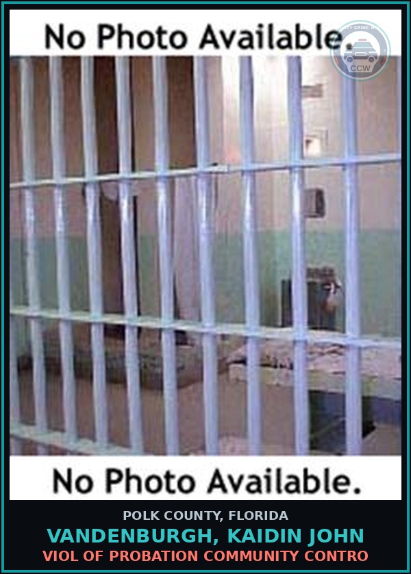 Booking mugshot of VANDENBURGH, KAIDIN JOHN in Polk County