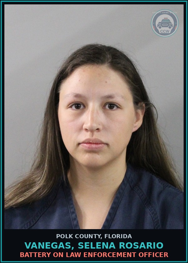 Booking mugshot of VANEGAS, SELENA ROSARIO in Polk County