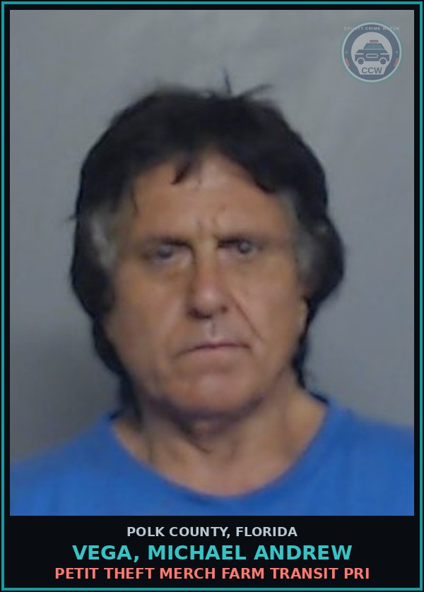 Booking mugshot of VEGA, MICHAEL ANDREW in Polk County