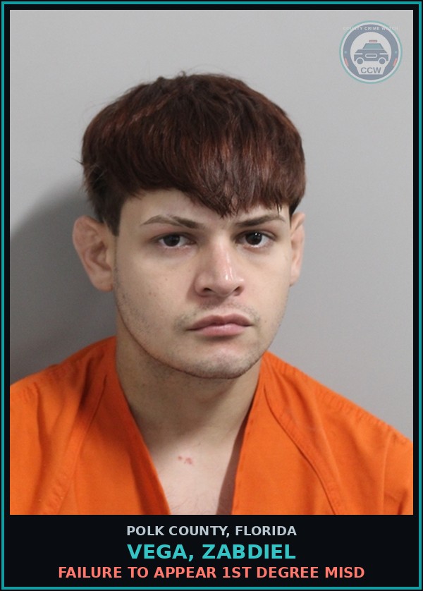 Booking mugshot of VEGA, ZABDIEL in Polk County