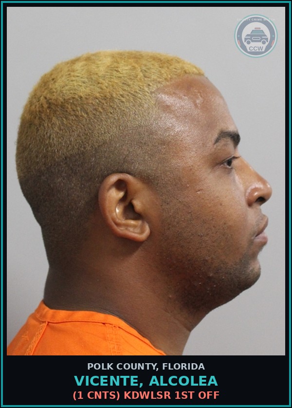 Booking mugshot of VICENTE, ALCOLEA in Polk County