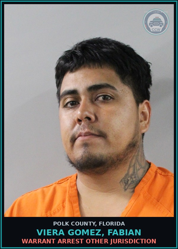 Booking mugshot of VIERA GOMEZ, FABIAN in Polk County