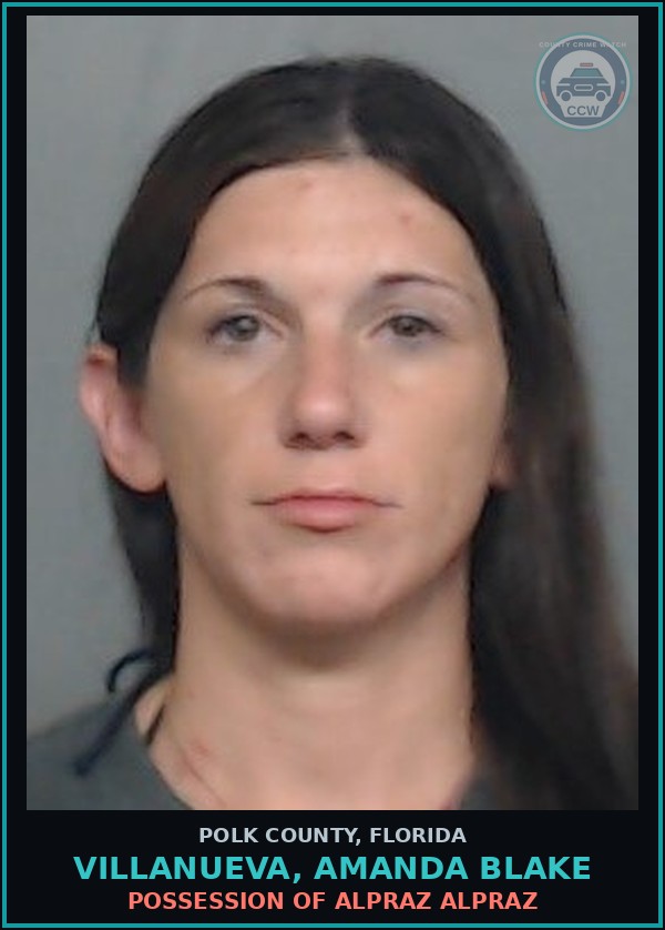 Booking mugshot of VILLANUEVA, AMANDA BLAKE in Polk County