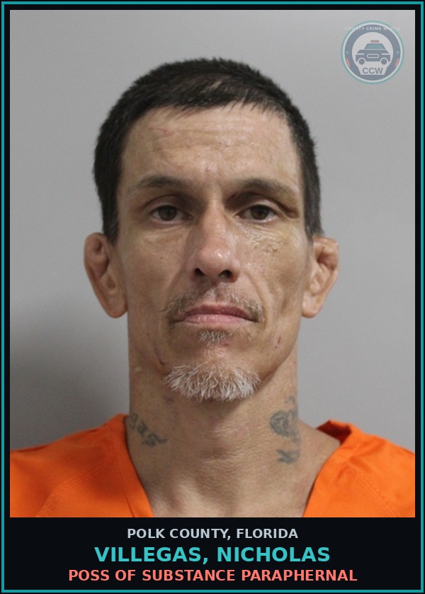 Booking mugshot of VILLEGAS, NICHOLAS in Polk County