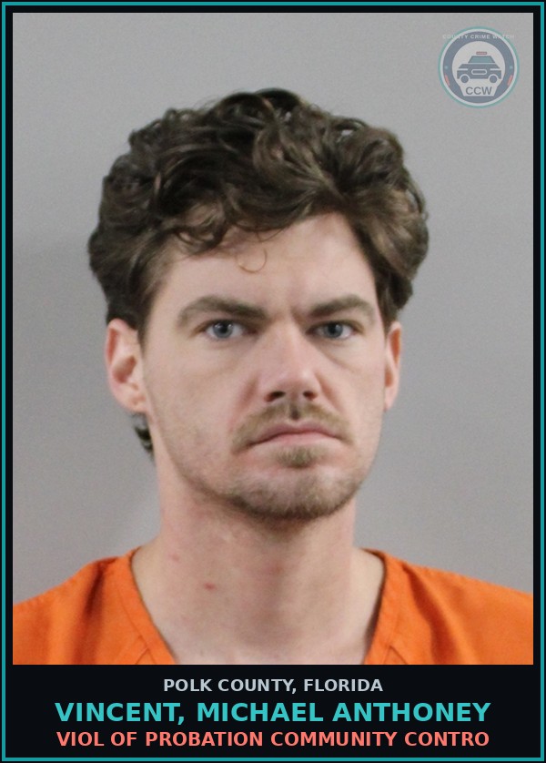 Booking mugshot of VINCENT, MICHAEL ANTHONEY in Polk County