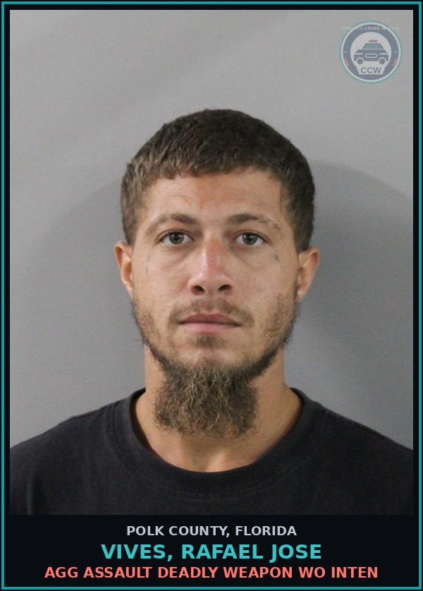 Booking mugshot of VIVES, RAFAEL JOSE in Polk County