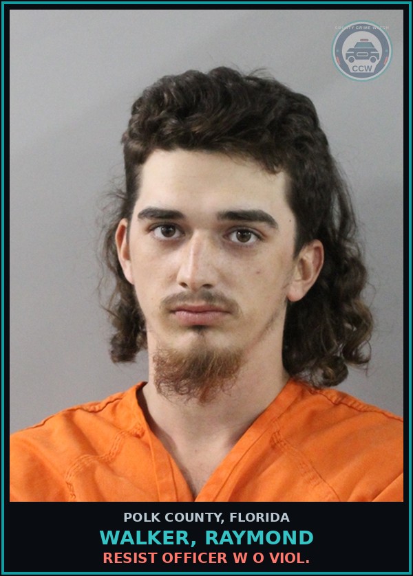 Booking mugshot of WALKER, RAYMOND in Polk County